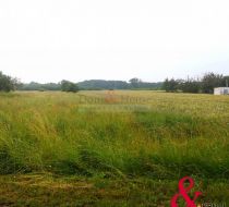 Gołębiew Stary - -1.00m2