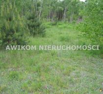 Budy Zosine - -1.00m2