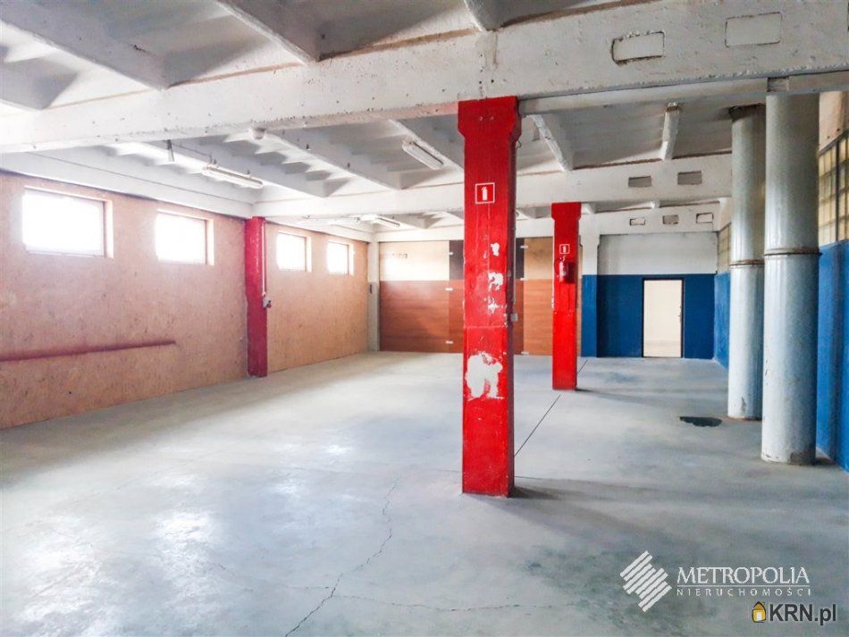 Kraków - 214.00m2 - 