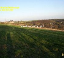 Wierzchowie - -1.00m2