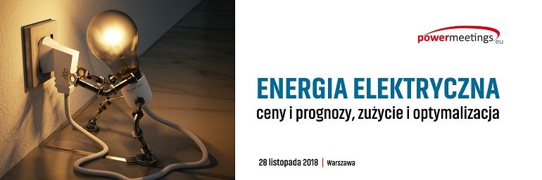 Energia Elektryczna – ceny i prognozy, zużycie i optymalizacja