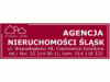 AGENCJA NIERUCHOMOŚCI ŚLĄSK logo