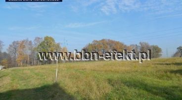 Bielsko-Biała - -1.00m2