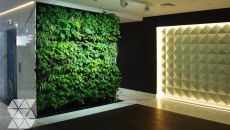 Usługa wprowadzająca zieleń do biur z nagrodą Dobry Wzór 2018