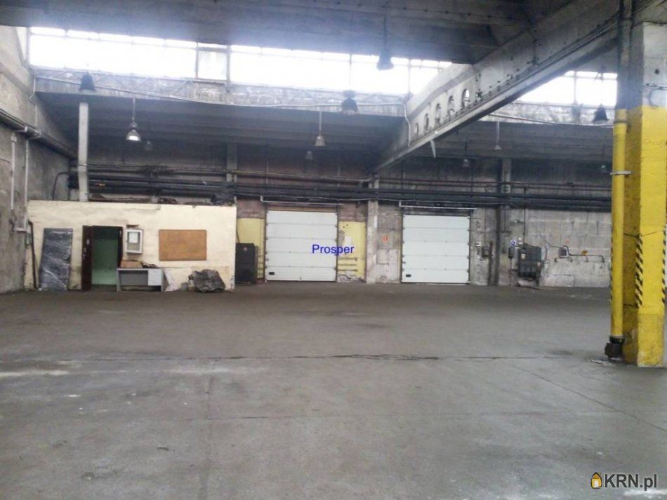 Dąbrowa Górnicza - 3000.00m2 - 