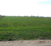 Grzebienisko - -1.00m2