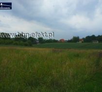 Pisarzowice - -1.00m2