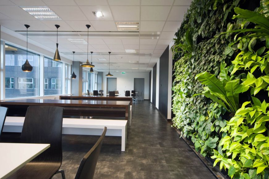  - Green wall in Avis Budget Group BSC Ltd office Green House Budapest