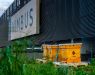 Hives on the roof of myhive Nimbus