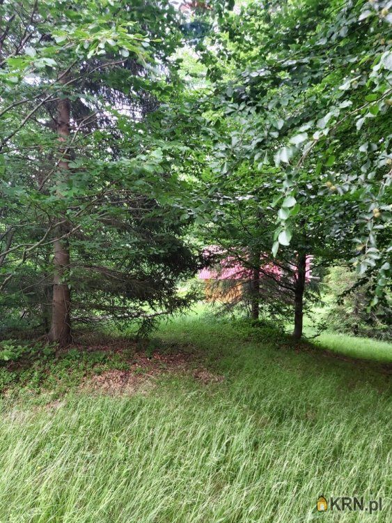 Żabnica - -1.00m2 - 