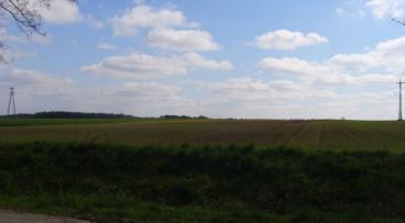 Kaźmierz - Szamotulska - -1.00m2