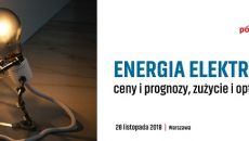 Energia Elektryczna – ceny i prognozy, zużycie i optymalizacja