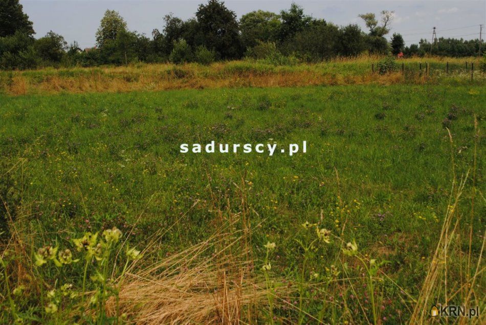 Nieszkowice Małe - -1.00m2 - 