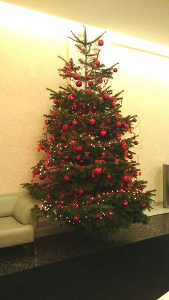 - Christmas tree in Le Palais in Warsaw 