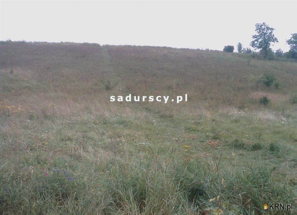 Prandocin-Iły - -1.00m2 - 