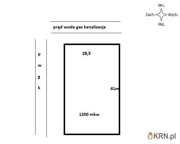 Borówiec - -1.00m2 - 