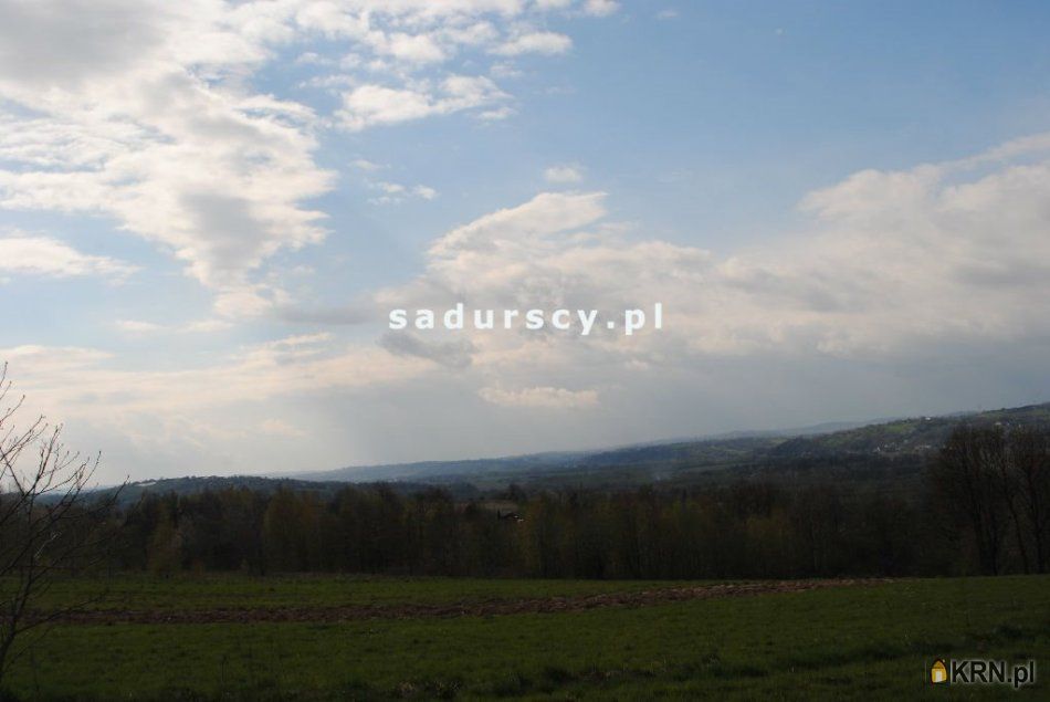 Brzoskwinia - -1.00m2 - 