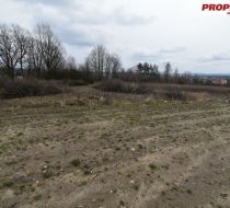 Miedziana Góra - -1.00m2