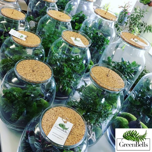  - Las w słoiku GreenBells (fot. GreenBells)