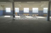 Żory - , 800.00m2