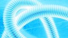 Paveletskaya, Moscow rented