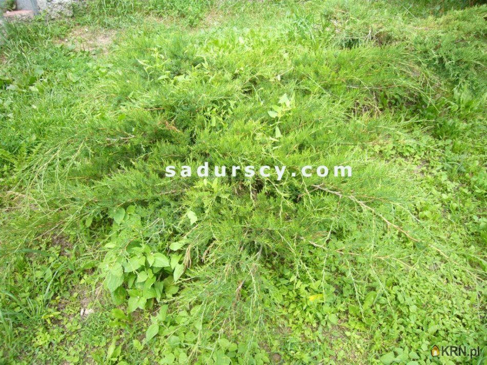 Kamionka - -1.00m2 - 