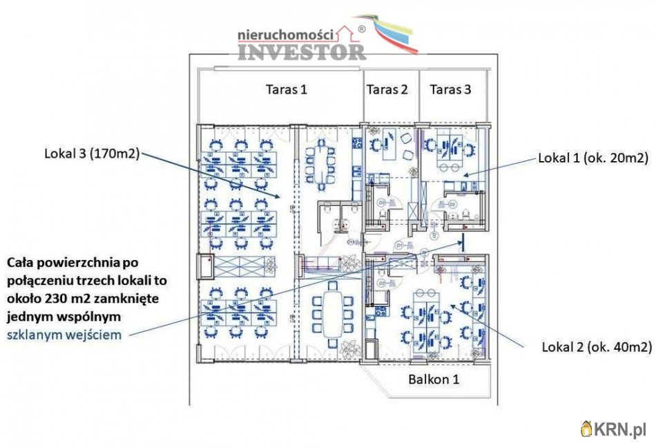 Kraków - 230.00m2 - 