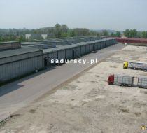 Szczucin - Piłsudskiego - 3900.00m2