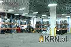 Wrocław - 560.00m2 - 