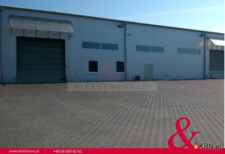 Kowale - Magnacka - 7200.00m2 - 