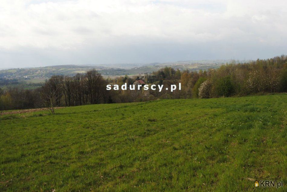 Brzoskwinia - -1.00m2 - 