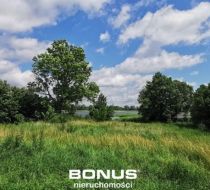 Rusek Wielki - -1.00m2