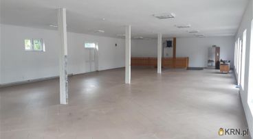 Brodnica - 250.00m2