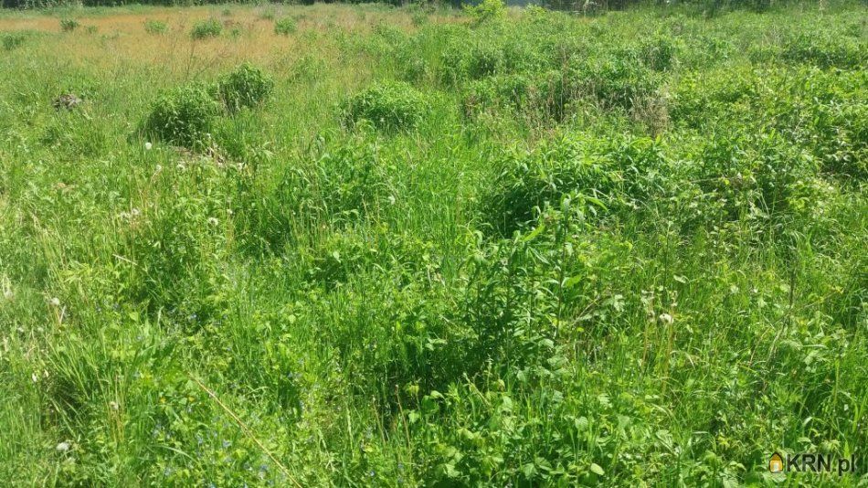 Siekierki Wielkie - -1.00m2 - 