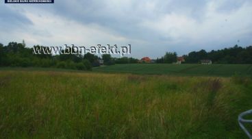 Pisarzowice - -1.00m2