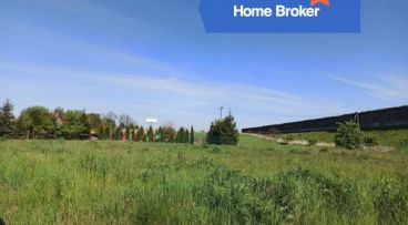 Aleksandrowice - -1.00m2