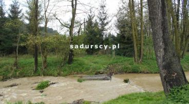 Januszowice - -1.00m2