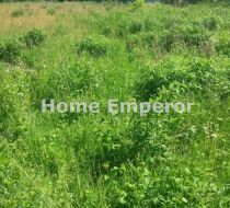 Nienawiszcz - -1.00m2