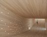 The interior of "The Smile" - visualization